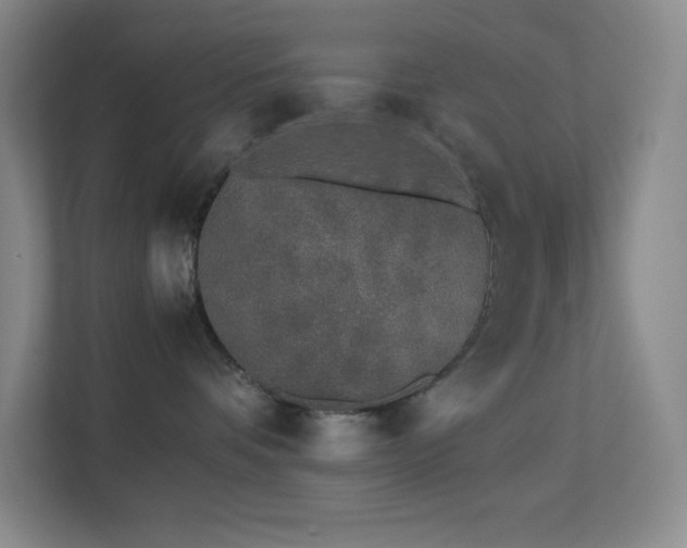 X0000113890336200909241422