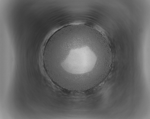 X0000113890337200909241421