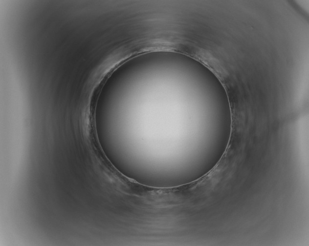 X0000113890338200909241421