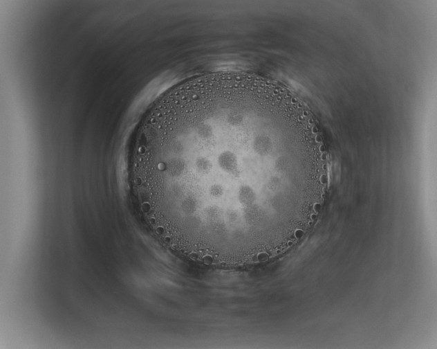 X0000113890339200909241421
