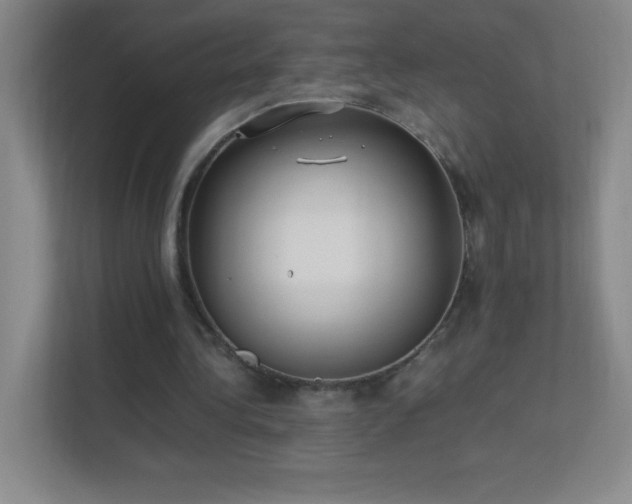 X0000113890340200909241421