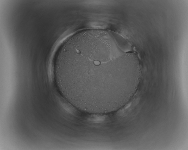 X0000113890343200909241421