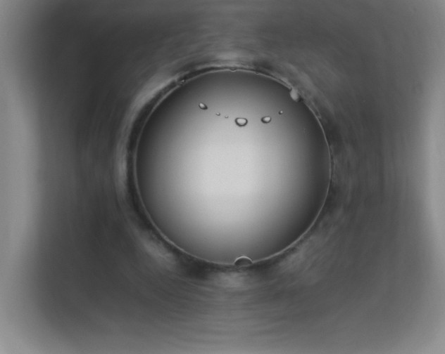 X0000113890344200909241421