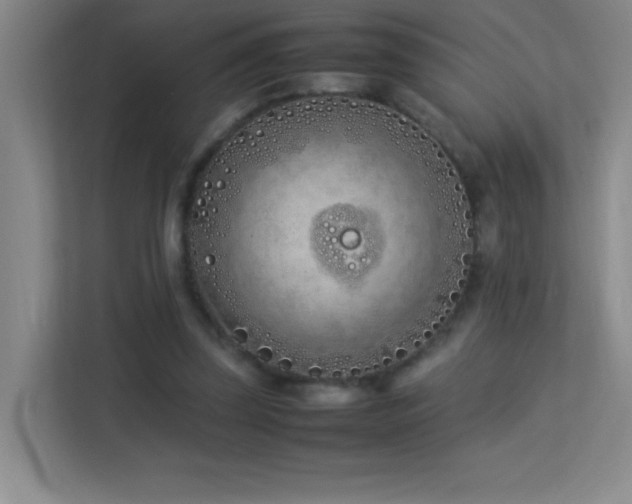 X0000113890347200909241421