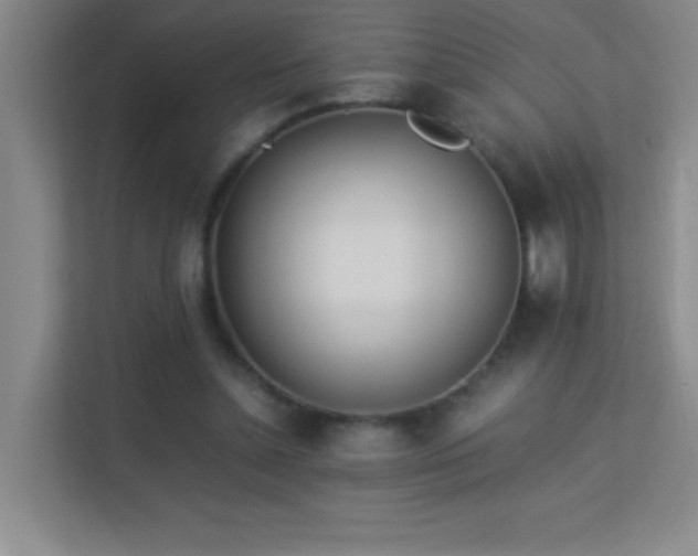 X0000113890348200909241421