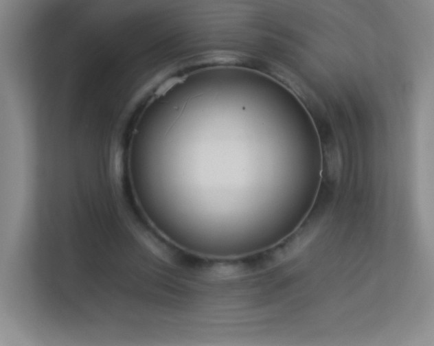 X0000113890350200909241421