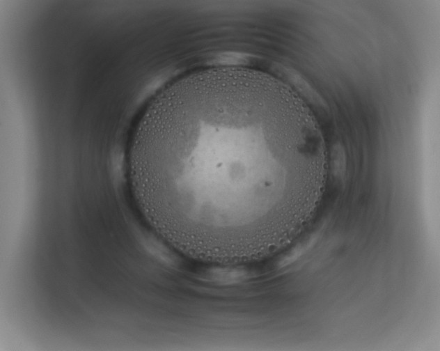 X0000113890351200909241421
