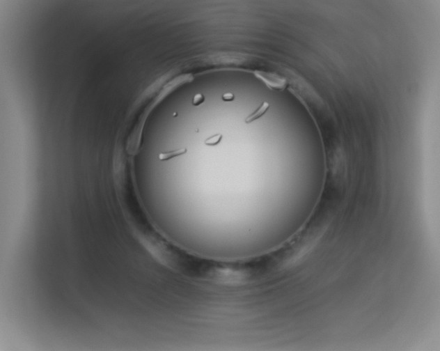 X0000113890352200909241421