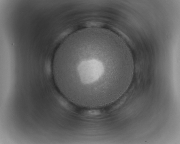 X0000113890353200909241422