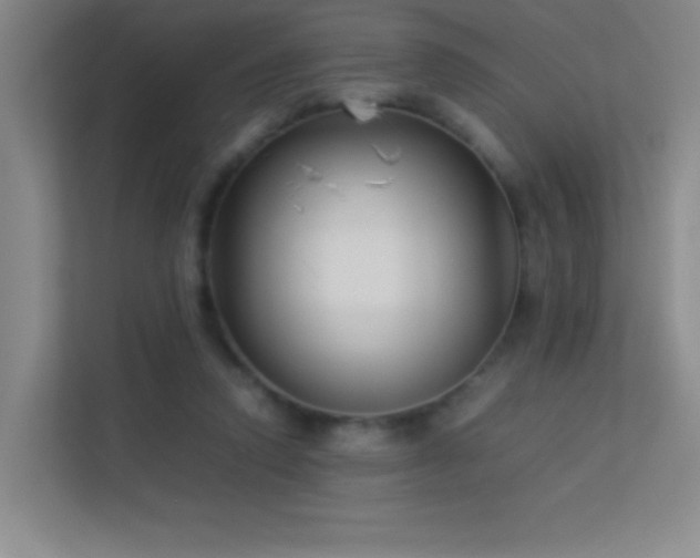X0000113890354200909241422