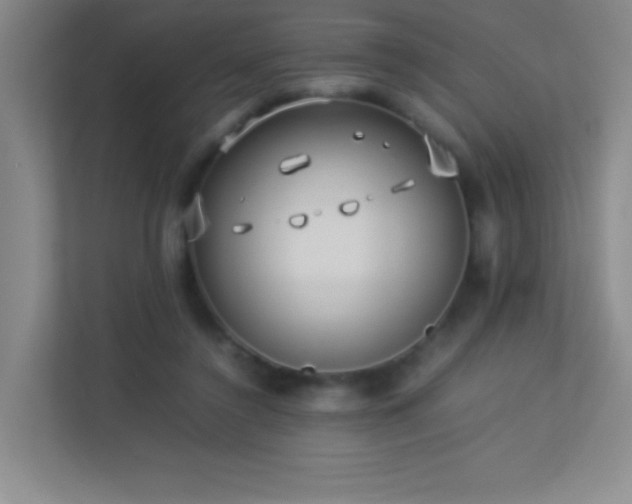 X0000113890356200909241422
