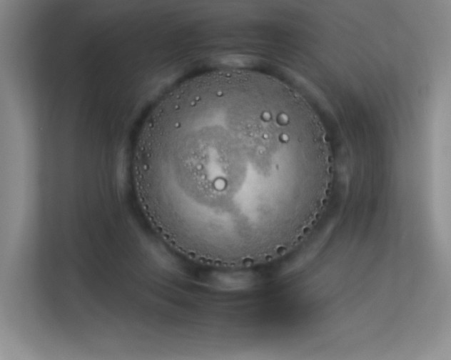 X0000113890359200909241422