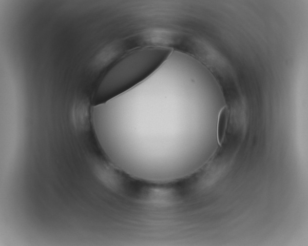X0000113890360200909241422