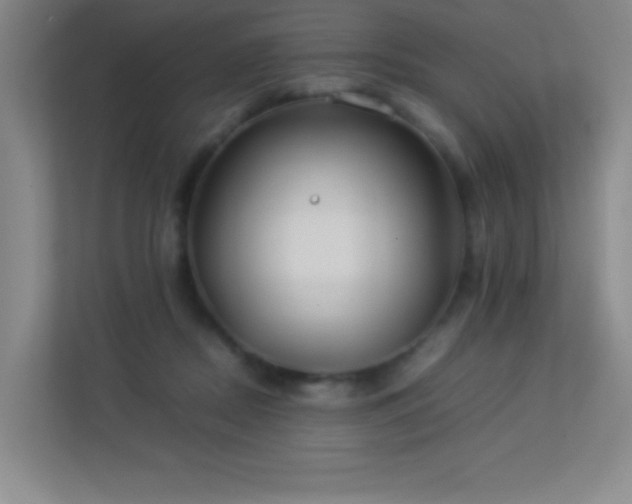 X0000113890362200909241422