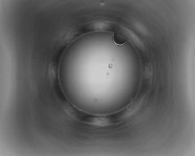 X0000113890363200909241422