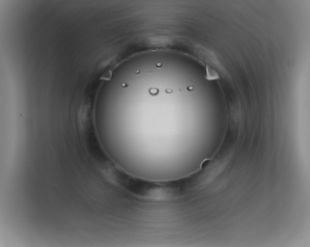 X0000113890364200909241422