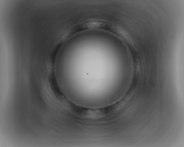 X0000113890367200909241422