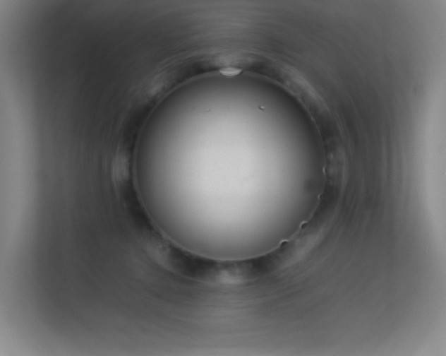 X0000113890368200909241422
