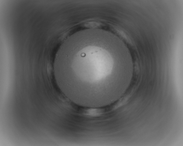 X0000113890371200909241422
