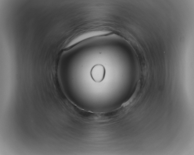 X0000113890372200909241422