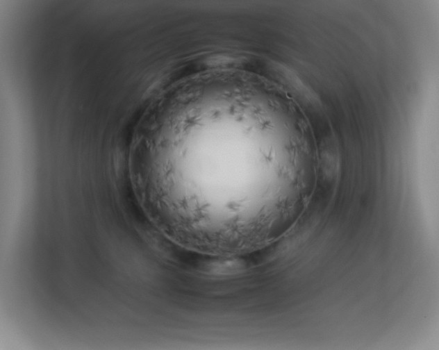 X0000113890375200909241422