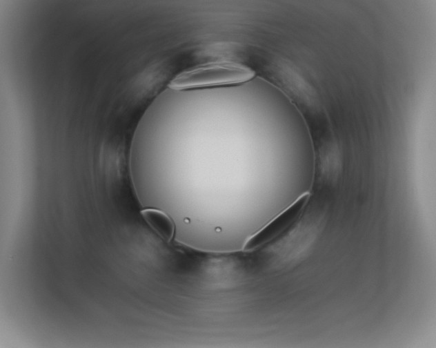 X0000113890376200909241422