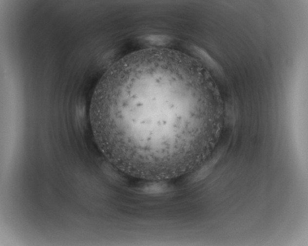 X0000113890377200909241422