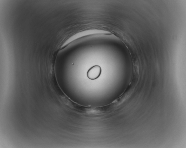 X0000113890380200909241422
