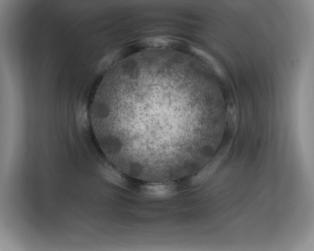X0000113890381200909241422