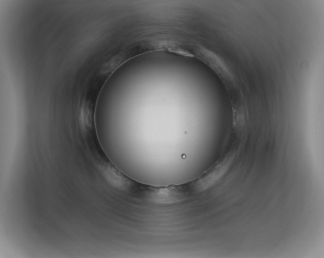 X0000113890382200909241422