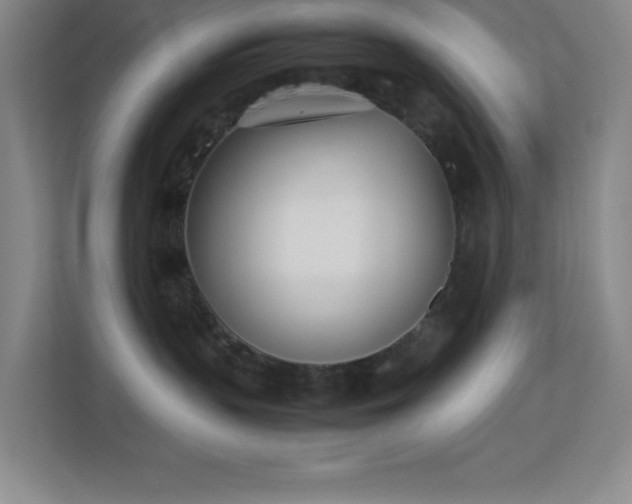 X0000113890383200909241422