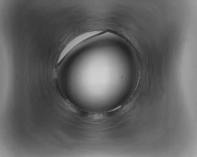 X0000113890384200909241422