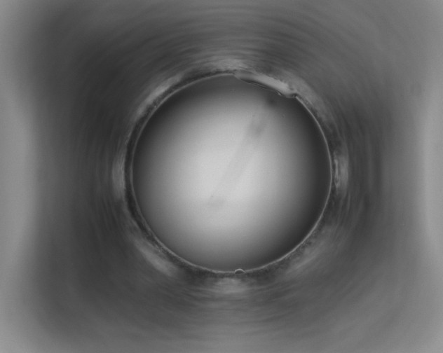 X0000113890390200909241421