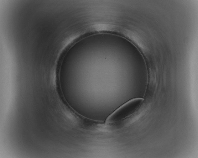 X0000113890391200909241421