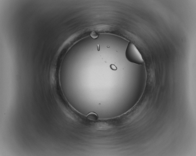 X0000113890392200909241421