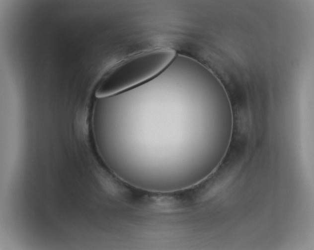 X0000113890395200909241421