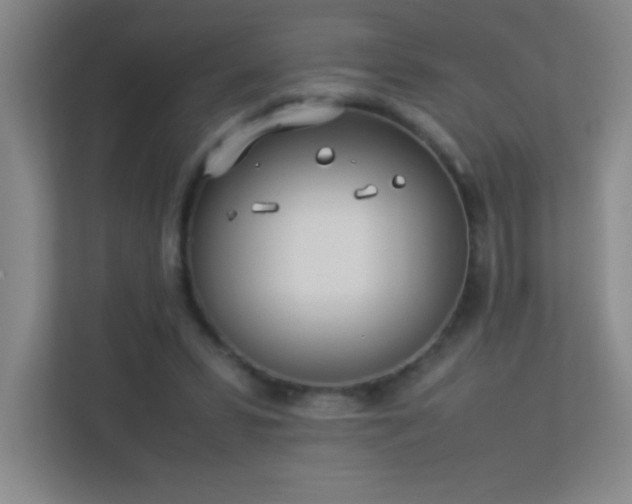 X0000113890399200909241421