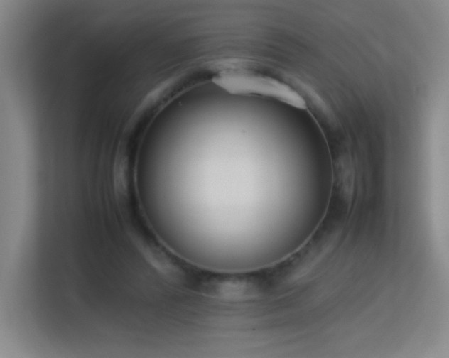 X0000113890400200909241421