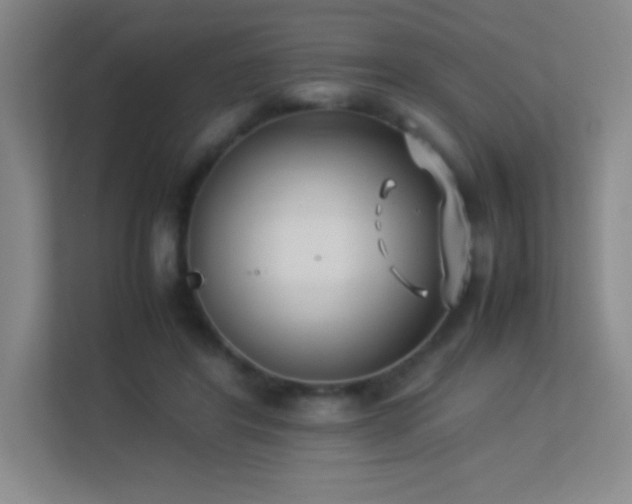 X0000113890404200909241421