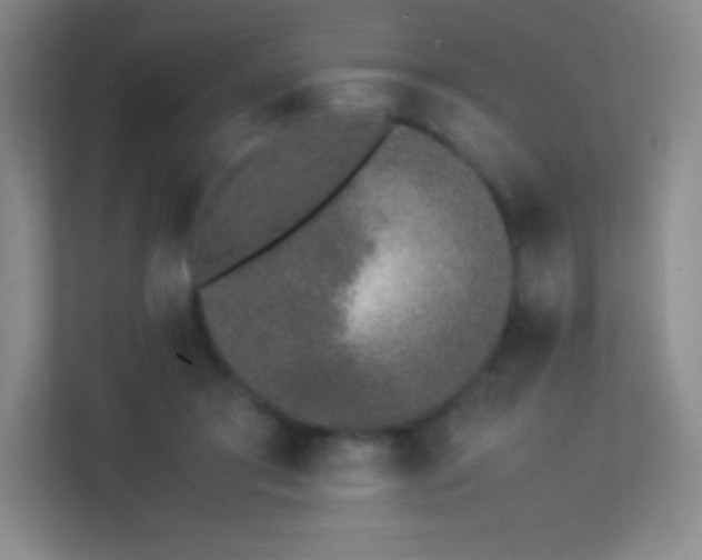 X0000113890405200909241421