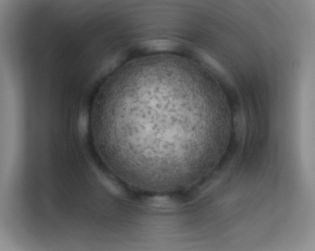 X0000113890406200909241421
