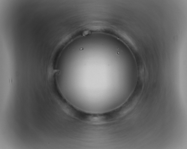 X0000113890407200909241421