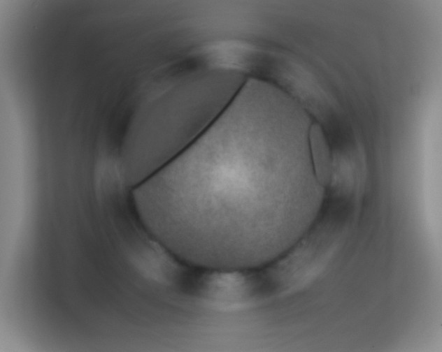 X0000113890409200909241421