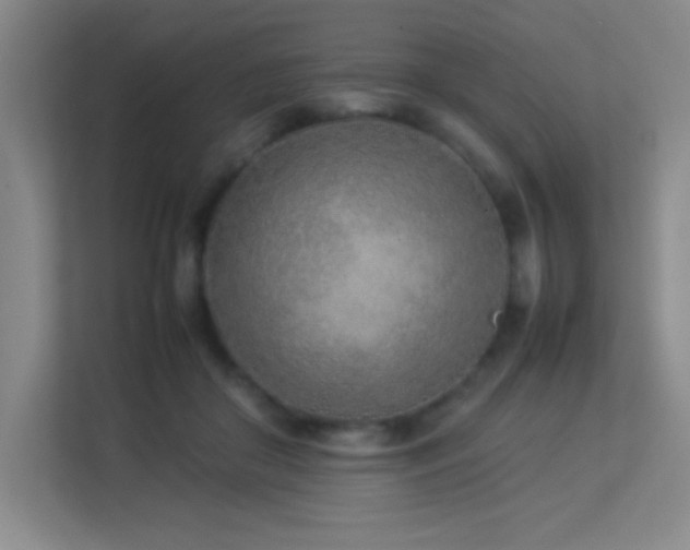 X0000113890410200909241421
