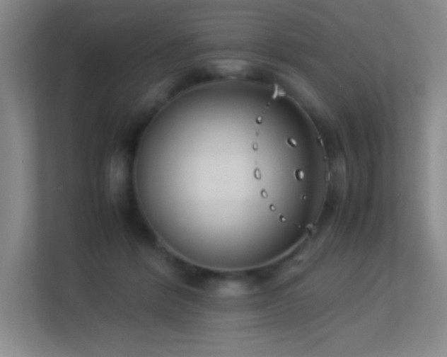 X0000113890412200909241421