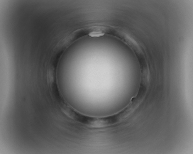 X0000113890413200909241421