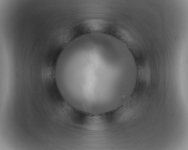 X0000113890419200909241421