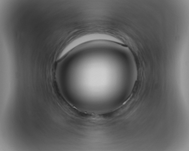 X0000113890421200909241421