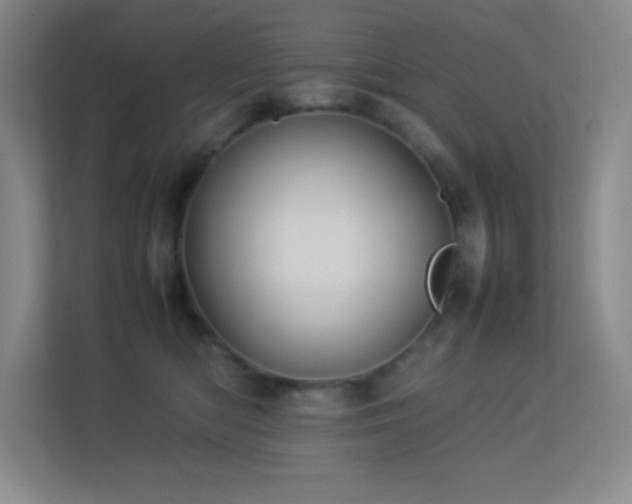 X0000113890422200909241421