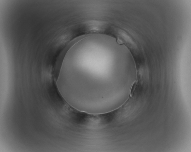 X0000113890423200909241421